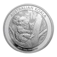 1/2 oz Australian Koala Silver Coin 2013