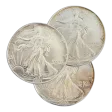 Silver American Eagle - Impaired