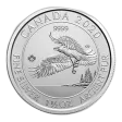 2020 1.5 Oz Canadian North American Bald Eagle Silver Coin - BU