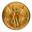 Mexico Gold Libertad One Onza 1981 BU