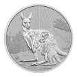 2023 2oz Australian Silver Kangaroo Coin