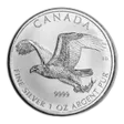 2014 RCM 1 oz Silver Birds of Prey Series Bald Eagle (Spotted)