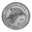 2016 Canadian Silver Snow Falcon (Varied Condition)