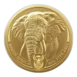 South African Gold Elephant Coin, 1 oz - Misc. Dated