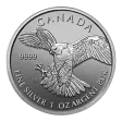 Birds of Prey Peregrine Falcon 1oz Silver Coin 2014 | margin scheme