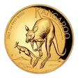 1 oz Perth Mint Kangaroo Gold Coin