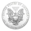 1 oz American Eagle Silver Coin (Random Year)