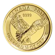 Canada 1/4 Ounce Gold Snowy Owl 2018 BU