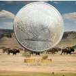 Buffalo 1oz Silver Round in Capsule (1oz)
