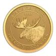 2022 1/4 Oz Canadian Moose Gold Coin - BU