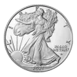 1 oz US Mint Eagle Silver Coin