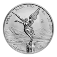 Libertad 2oz Silver Coin 2024 | margin scheme