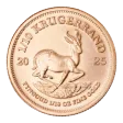 1/10 OZ GOLD KRUGERRAND