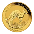 1oz Perth Mint Gold Coin (Random Years)