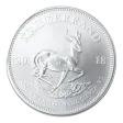1 oz South African Mint Krugerrand Silver Coin