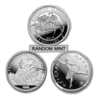 1/4 oz Platinum Coin - Random Mint