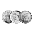 10 oz Silver Coin (Varied Condition, Varied Mint, Random Year)