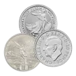 1/10 oz Silver Coin - Design Our Choice