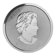 Any Year 1.5 oz Generic Silver Round