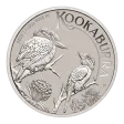 2023 1/10 oz Australian Kookaburra Platinum Coin