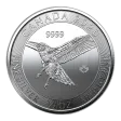 1/2 oz Canadian Red Tail Hawk Silver Coin (Year Varies)