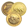 1/4 oz Canadian Wildlife Series (Varied Design)