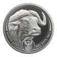 Big Five 2023 Silver One Ounce Buffalo BU - Series 2