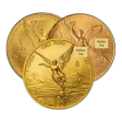 1 oz Mexican Gold Libertad Coin - Random Year
