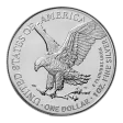 1 Oz Silver US American Eagle (2026)