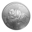 2019 1 Oz Canadian Grizzly Bear Silver Coin (Predator Series) - BU