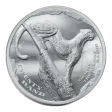 5 Oz Silver Cheetah - The African Range