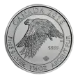 2016 1.5 Oz Canadian Snow Falcon Silver Coin - BU