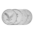 1 oz Vintage Silver Art Round (Varied Condition, Any Mint)