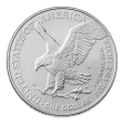 1 Oz American Silver Eagle on hand 2026