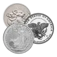 1/10 oz Platinum Coin - Design Our Choice