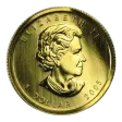 1/20 oz .9999 Fine Gold - Royal Canadian Mint - Canada Maple (Secondary Market)