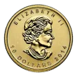 1/4 oz Canadian Gold Maple Leaf (Random Year)