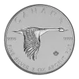 2oz Silver Canada Goose (2020)