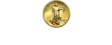 Camino Coin Company logo