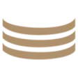 Grand Rapids Coins logo