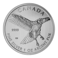 RCM 1oz Silver Birds of Prey, Red Tailed Hawk - 2015