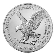 1 oz Star Privy American Silver Eagle Coin