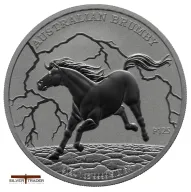 Australian Brumby