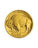 American Buffalo