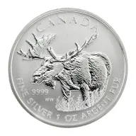 Canadian Moose