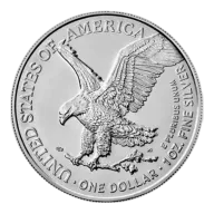1 oz American Silver Eagle Silver Coin
