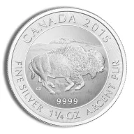 Bison