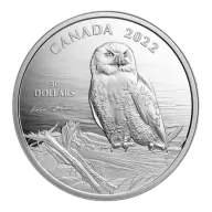 2 oz. Fine Silver Coin - Snowy Owl on Driftwood by Robert Bateman - Royal Canadian Mint .9999 Ag (Mintage: 4500)