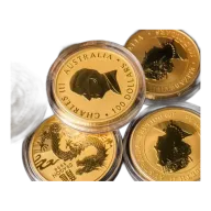 Random Perth Mint Gold Coin 1oz