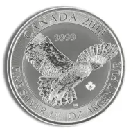 Snowy Owl